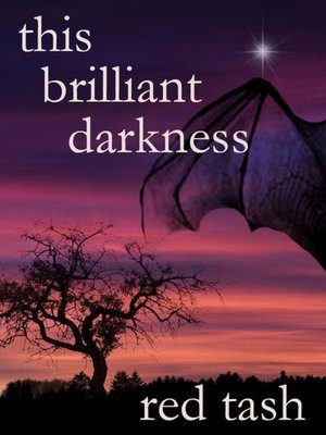 cover image of This Brilliant Darkness (A Dark Contemporary Fantasy)